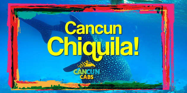 taxi chiquila to cancun airport